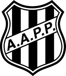 Logo Ponte Preta Youth